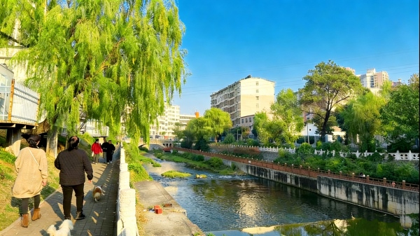 2(1).jpg 2(1).jpg